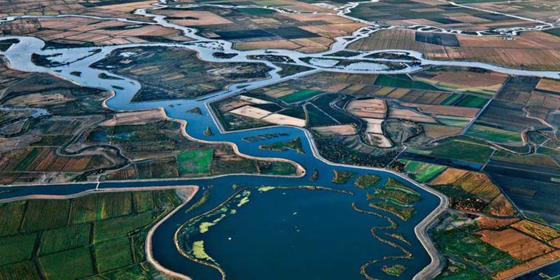 Bay Delta Conservation Plan